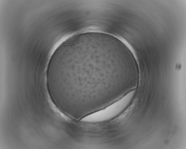 X0000091481341200709061831