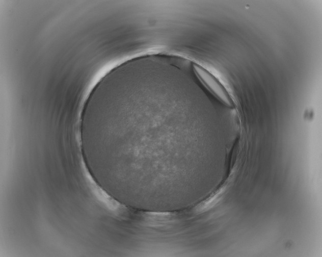 X0000091481342200709061831