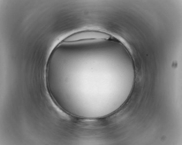 X0000091481343200709061831