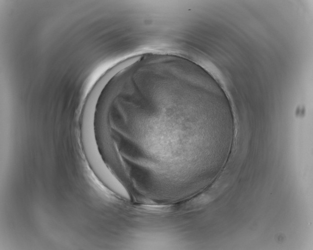 X0000091481344200709061831