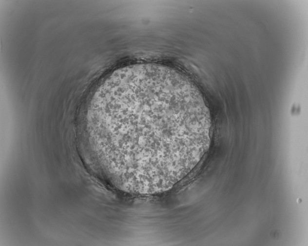 X0000091481345200709061830