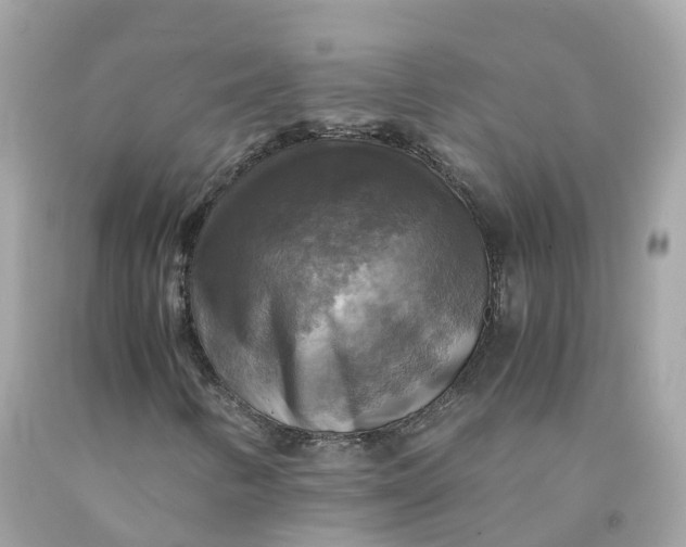 X0000091481346200709061830