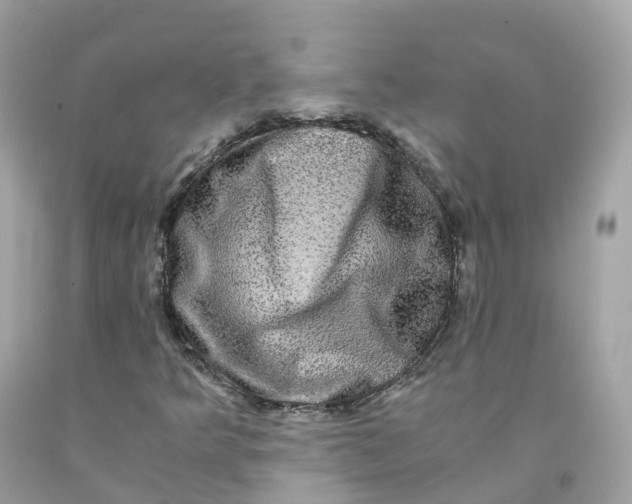 X0000091481349200709061830