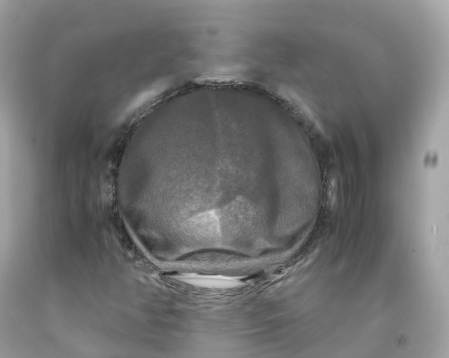 X0000091481350200709061830