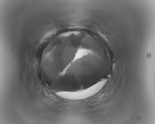 X0000091481351200709061830