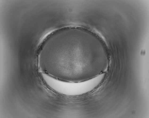 X0000091481352200709061830