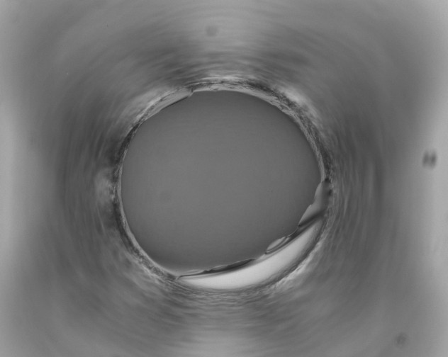 X0000091481353200709061830