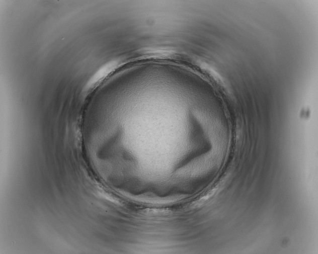 X0000091481354200709061830