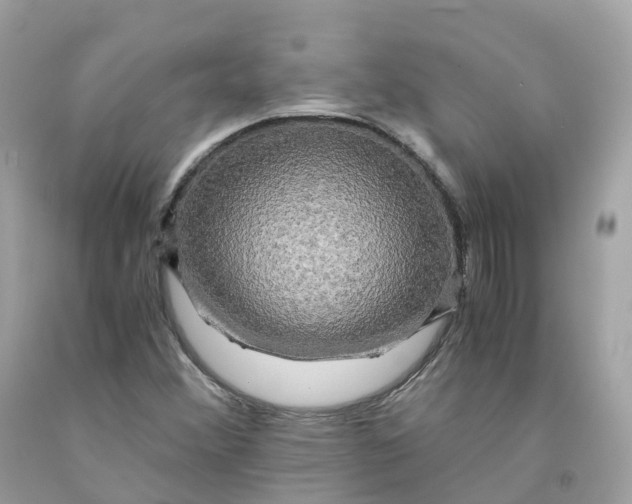 X0000091481356200709061830