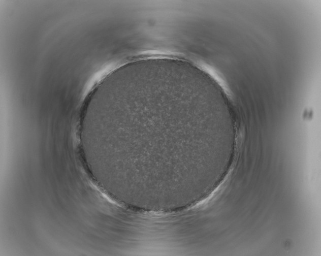 X0000091481357200709061830