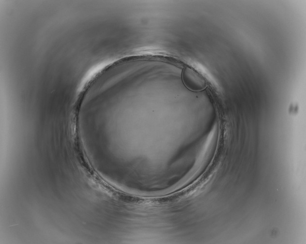 X0000091481358200709061830