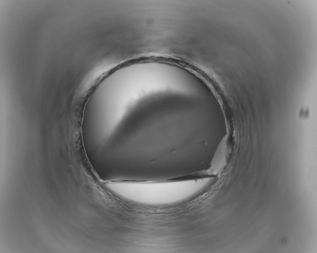 X0000091481359200709061830