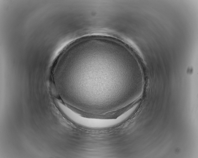 X0000091481360200709061830