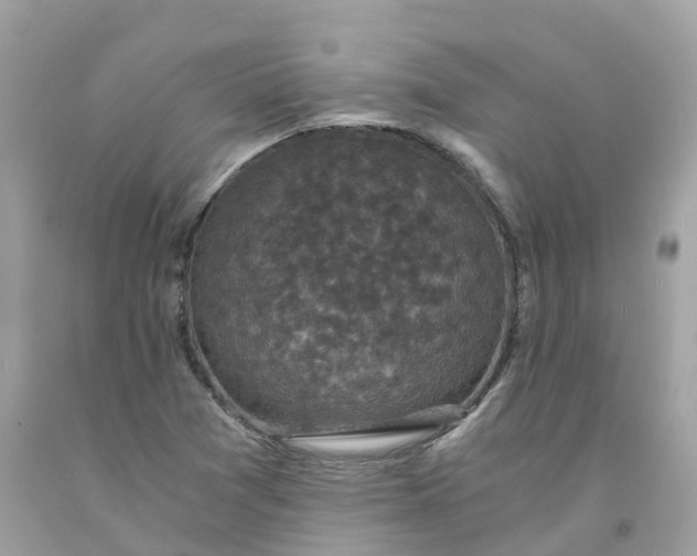 X0000091481361200709061830