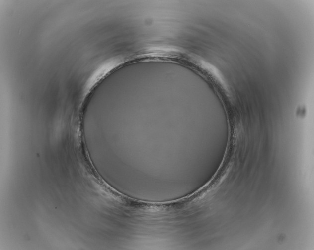 X0000091481362200709061830