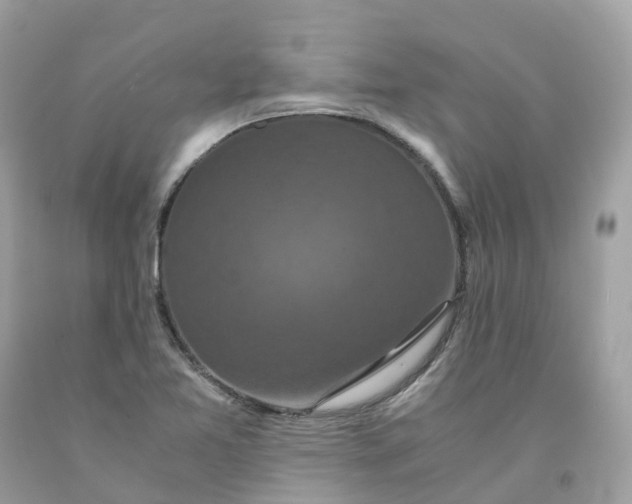 X0000091481365200709061830