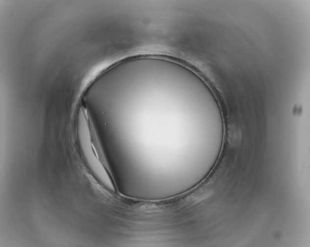 X0000091481366200709061830