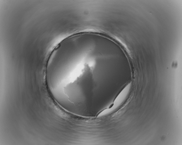 X0000091481367200709061830