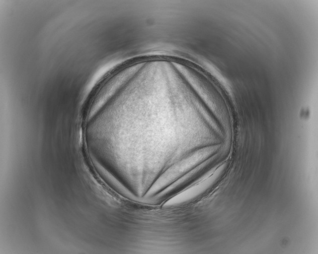 X0000091481368200709061830