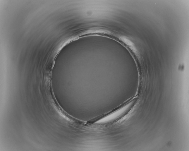 X0000091481369200709061830