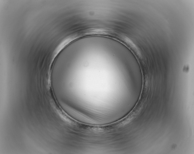 X0000091481370200709061830