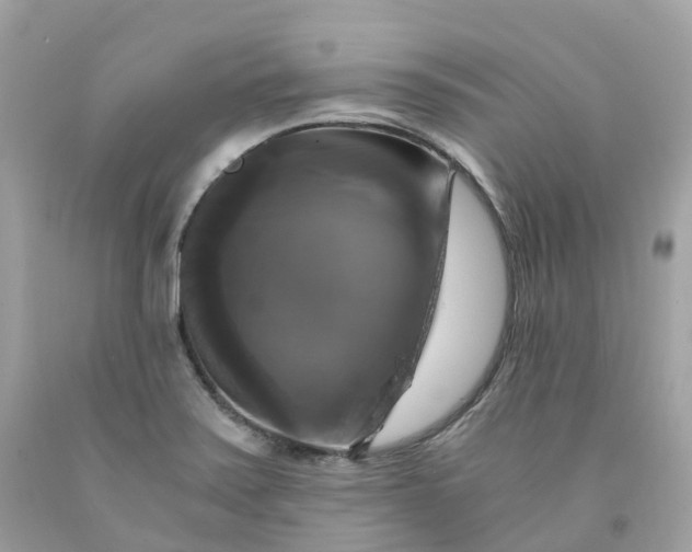 X0000091481371200709061830