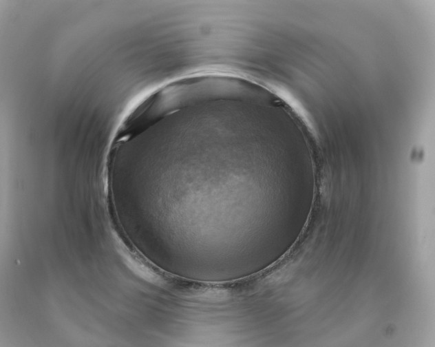 X0000091481372200709061830