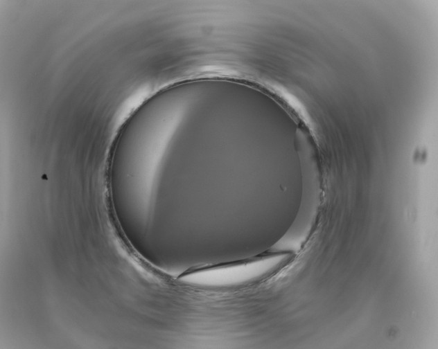 X0000091481373200709061830