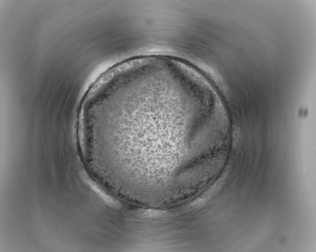 X0000091481374200709061830