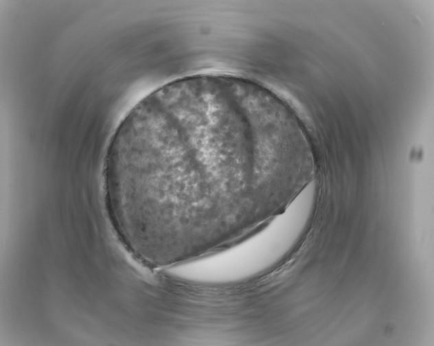 X0000091481375200709061830