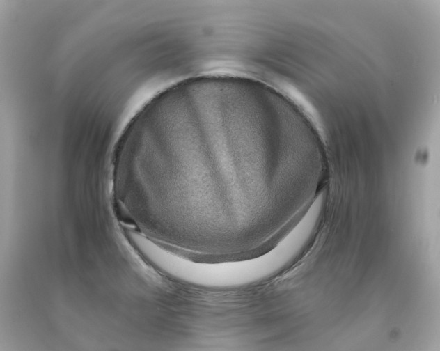 X0000091481376200709061830