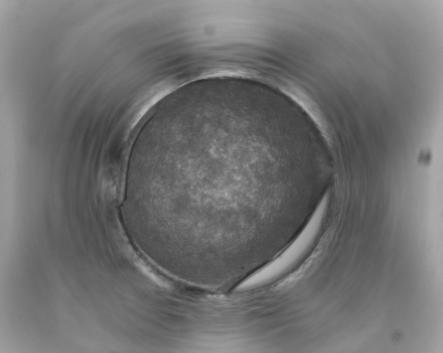 X0000091481377200709061830