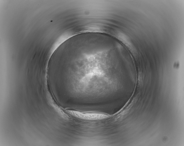 X0000091481378200709061830