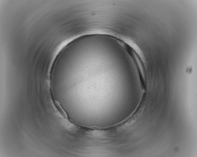 X0000091481380200709061830