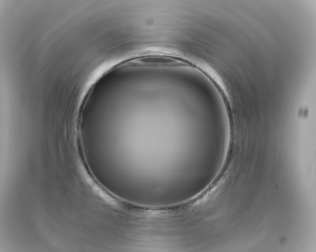 X0000091481381200709061830