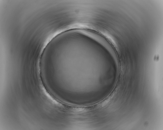 X0000091481382200709061830