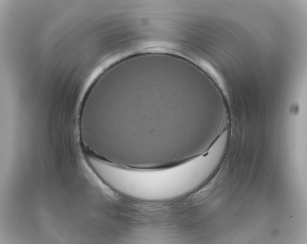 X0000091481384200709061830