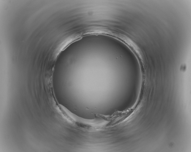 X0000091481385200709061830