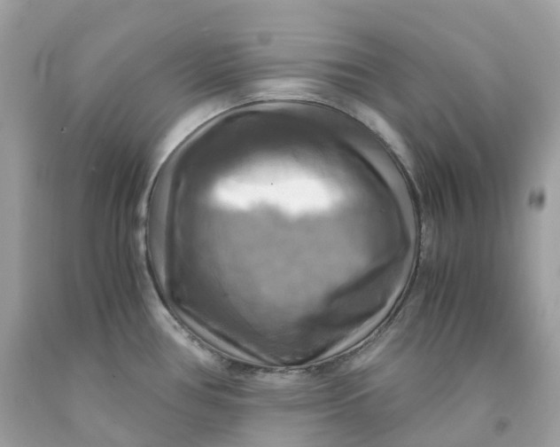 X0000091481386200709061830