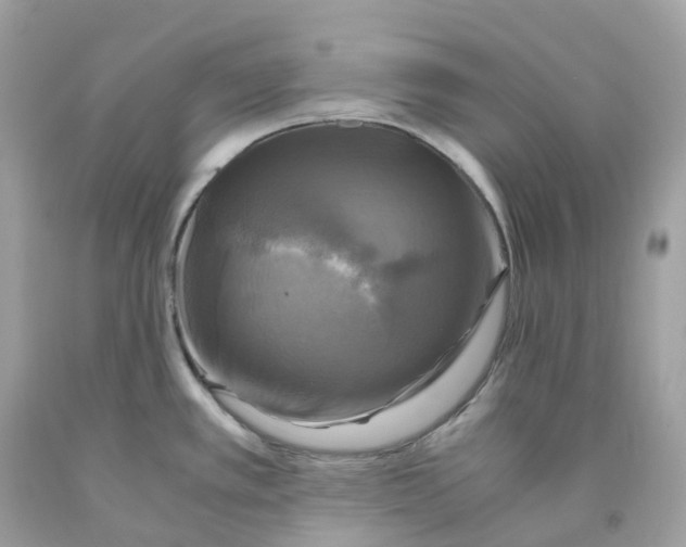 X0000091481389200709061830