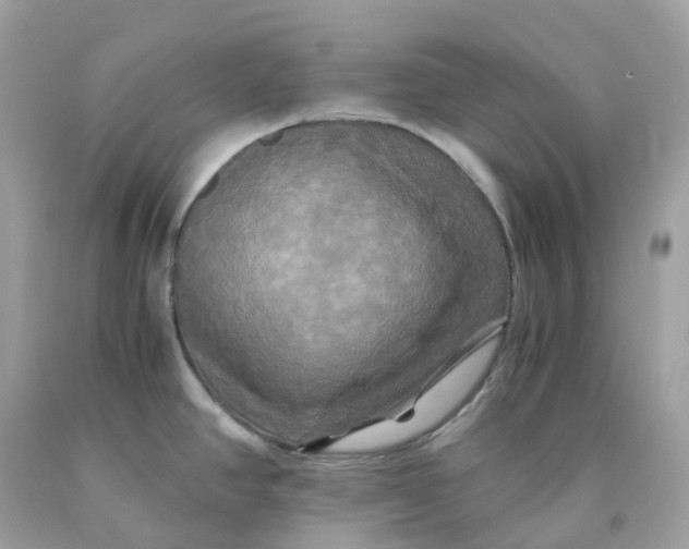 X0000091481390200709061830