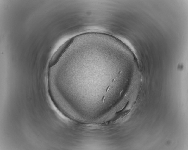 X0000091481391200709061829