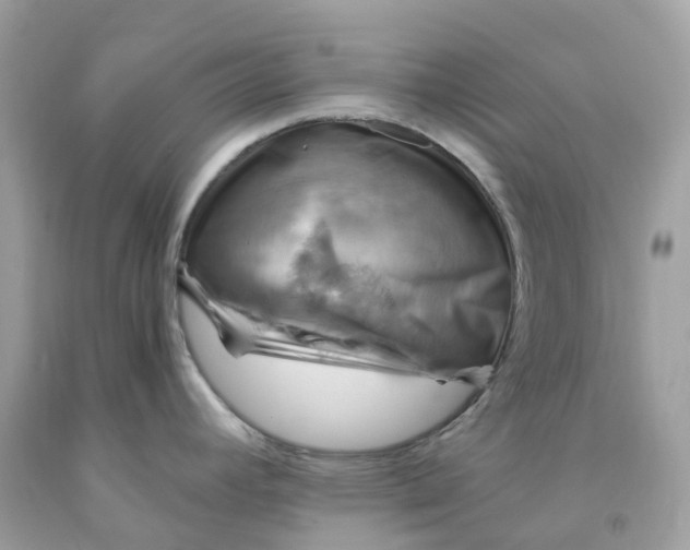 X0000091481392200709061829