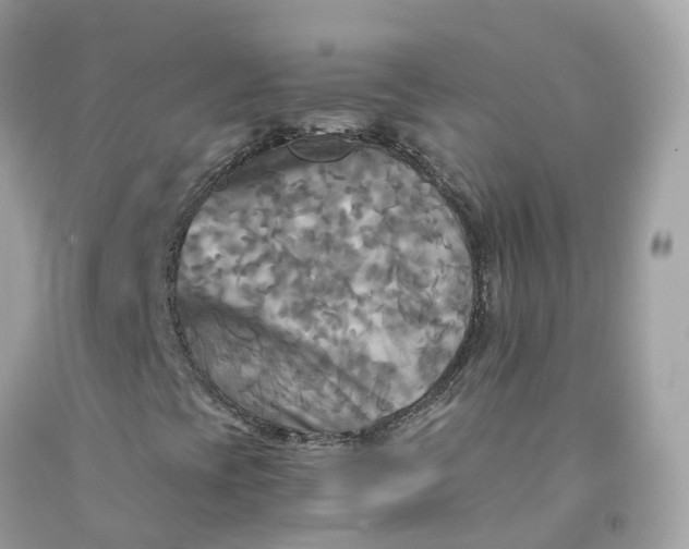 X0000091481393200709061829