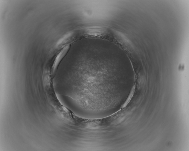 X0000091481394200709061829