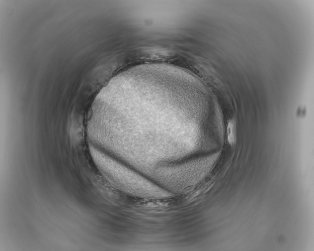 X0000091481395200709061829