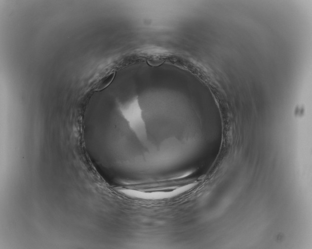 X0000091481397200709061829