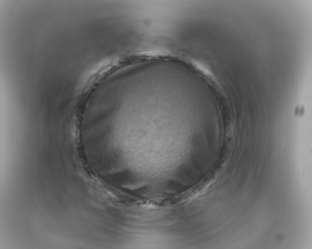 X0000091481398200709061829