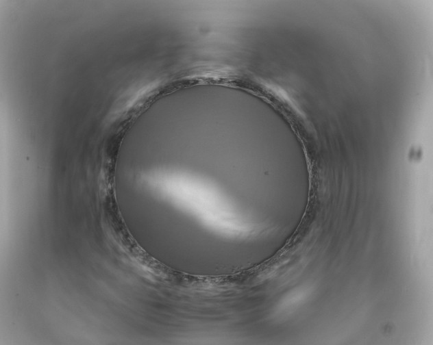 X0000091481399200709061829