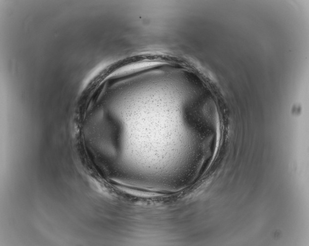 X0000091481400200709061829